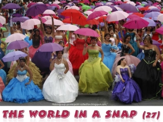 The World in a SNAP (27)