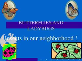 BUTTERFLIES AND LADYBUGS