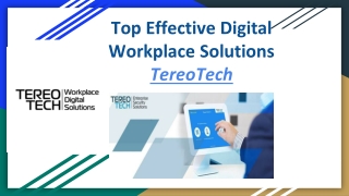 Top Effective Digital Workplace Solutions : TereoTech