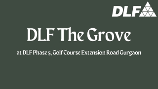 DLF The Grove at DLF Phase 5, Golf Course Road Gurgaon - Brochure