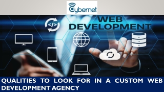 Qualities to Look for in a Custom Web Development Agency