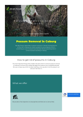 Possum Removal Service Coburg