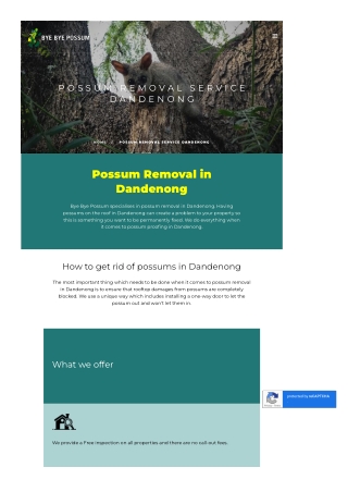 Possum Removal Service Dandenong