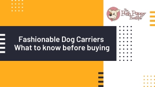 Fashionable Dog Carriers – What to know before buying