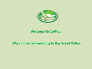 Why choose caliweedplug to Buy Weed Online