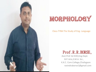 Morphology