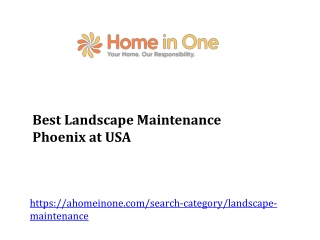 Best Landscape Maintenance Phoenix at USA