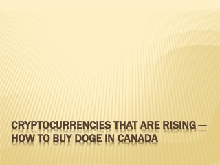 Cryptocurrencies That Are Rising — How To Buy DOGE In Canada
