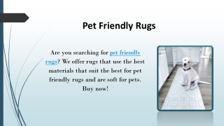 Pet Friendly Rugs