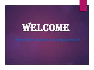 Best Service for Turfing in Mangrove Green