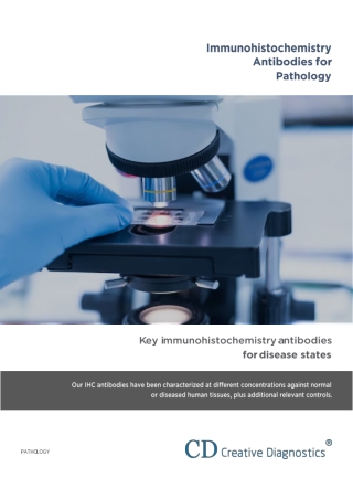 Immunohistochemistry Antibodies for Pathology