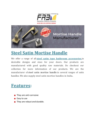 Steel Satin Mortise