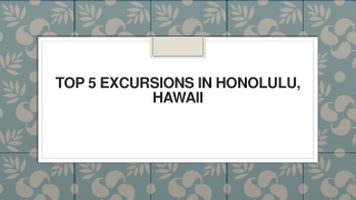 Top 5 Excursions in Honolulu, Hawaii