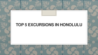 Top 5 Excursions in Honolulu