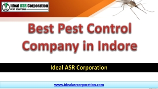 Best Pest Control Company in Indore – Ideal ASR Corporation