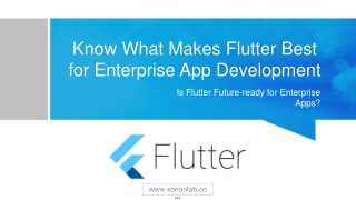 Know What Makes Flutter Best for Enterprise App Development