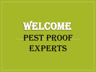 Best Rat Extermination in Old Windsor