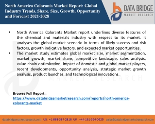 North America Colorants Market Analysis, Insight, & Scope for Expand to Latest D