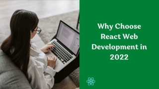 Why Choose React Web Development