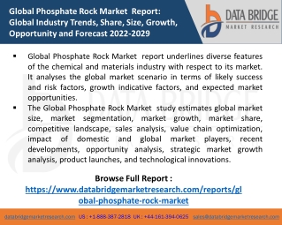 Global Phosphate Rock Market grow at a CAGR of 6.90% By 2028