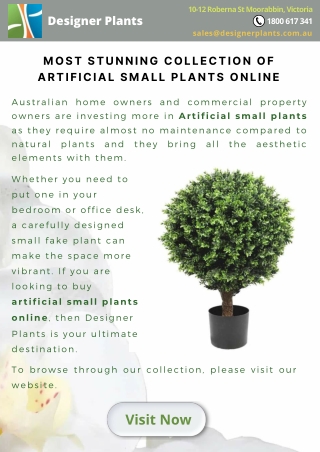 Most stunning collection of artificial small plants online