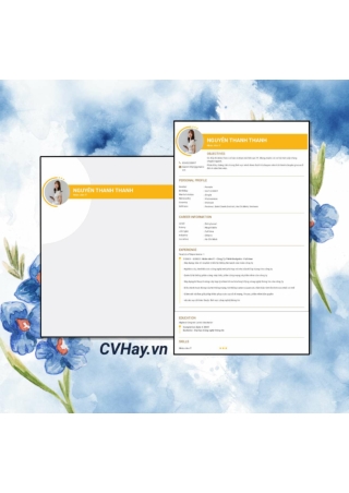 CVHay_Nhan Vien IT