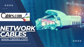 Buy Network cables Online