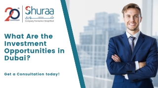 What Are the Investment Opportunities in Dubai?