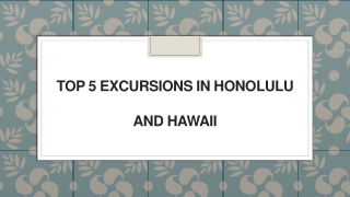 Top 5 excursions in Honolulu and Hawaii