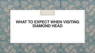 What to Expect When Visiting Diamond Head