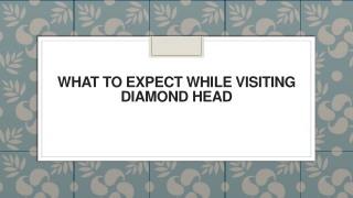 What to Expect While Visiting Diamond Head