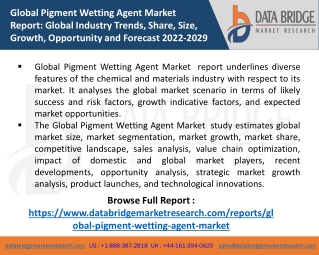 Global Pigment Wetting Agent Market  report pdf