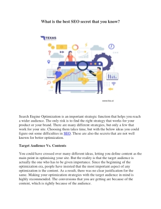 What is the best SEO secret that you know ?