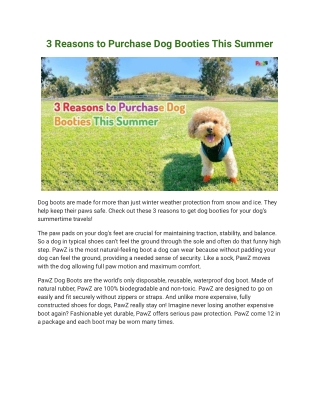 3 Reasons to Purchase Dog Booties This Summer