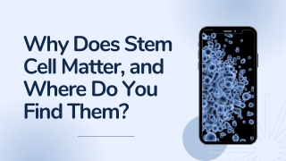 Why Does Stem Cell Matter, and Where Do You Find Them? - Dr. David Greene Arizona