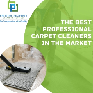 The Best Professional Carpet Cleaners in the Market