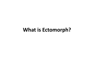 What is Ectomorph
