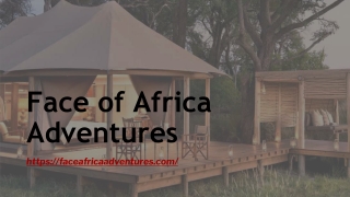 4 Days Tanzania Budget Camping Safari