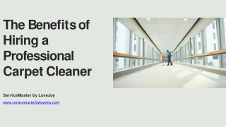 Motives for Using Professional Carpet Cleaning Services