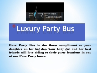 Luxury Party Bus
