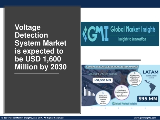 Voltage Detection System Market PPT