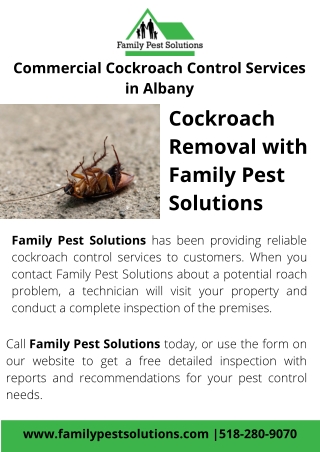 Commercial Cockroach Control Services in Albany