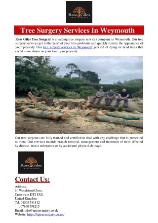 Tree Surgery Services In Weymouth