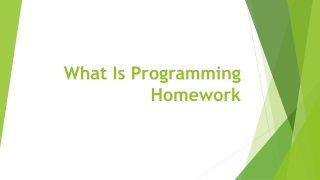 What Is Programming Homework