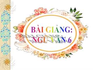 Bài giảng Ngữ văn 6  - Bài 5: Sọ Dừa