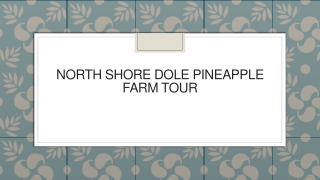 North Shore DOLE Pineapple Farm Tour