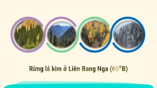 Bài Giảng Địa Lí 8 Bài 2: Khí hậu châu Á P3