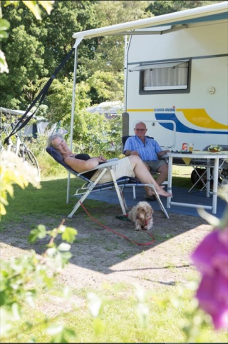 Vakantiehuis Drenthe met hond