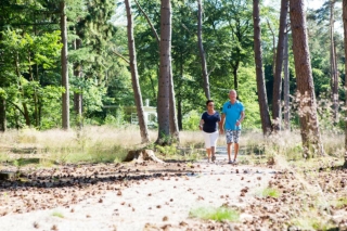 Vakantiehuis Drenthe met hond