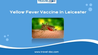 Yellow Fever Vaccine in Leicester